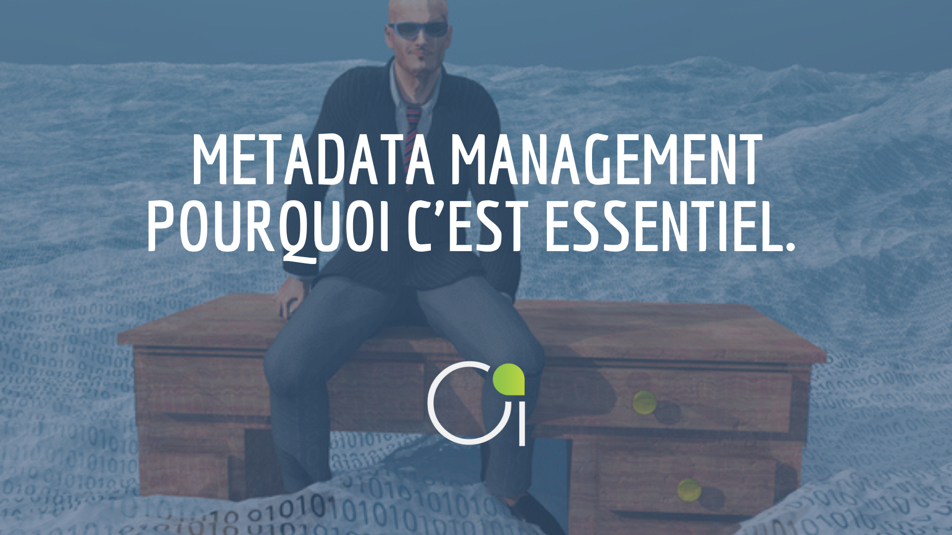 metadata métadonnées management