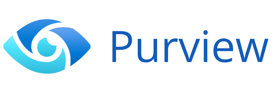 Microsoft Purview esn data bi