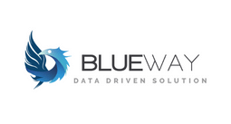 blueway mdm data governance