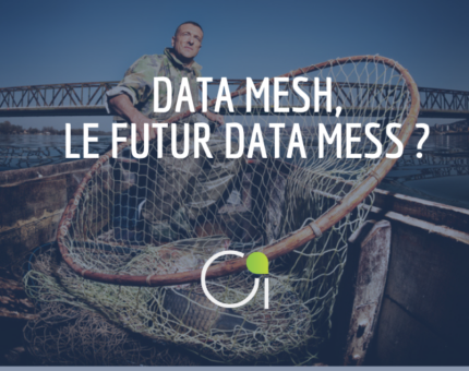 data mesh data mess principes limites