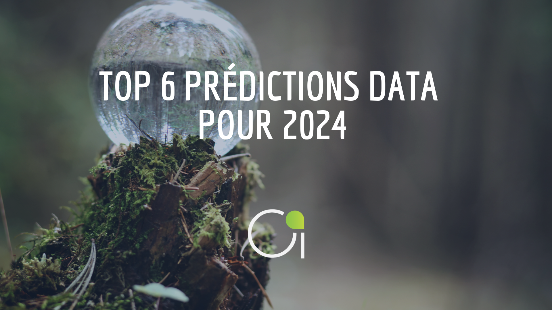 data predictions 2024
