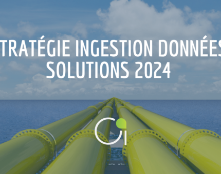 ingestion data solutions 2024